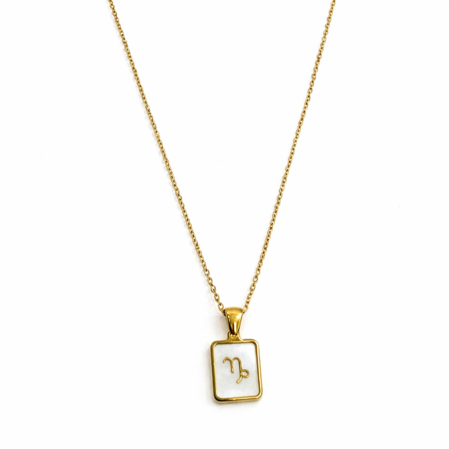 Colar Signo Capricórnio